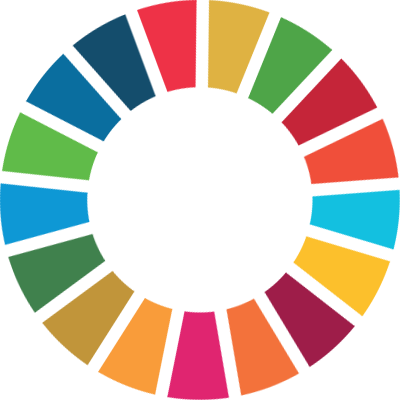 Sustainable Development Goals Color Wheel